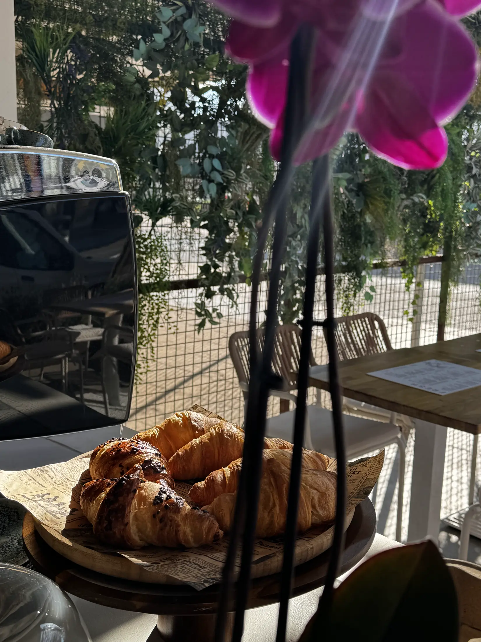Croissants en la barra junto a la cafetera en Fresh Ibiza